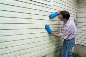 Best Wood Siding Installation  in Wilson, OK